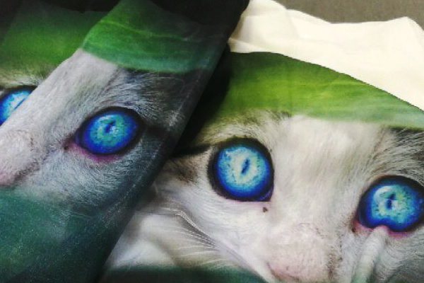 t shirt printing
